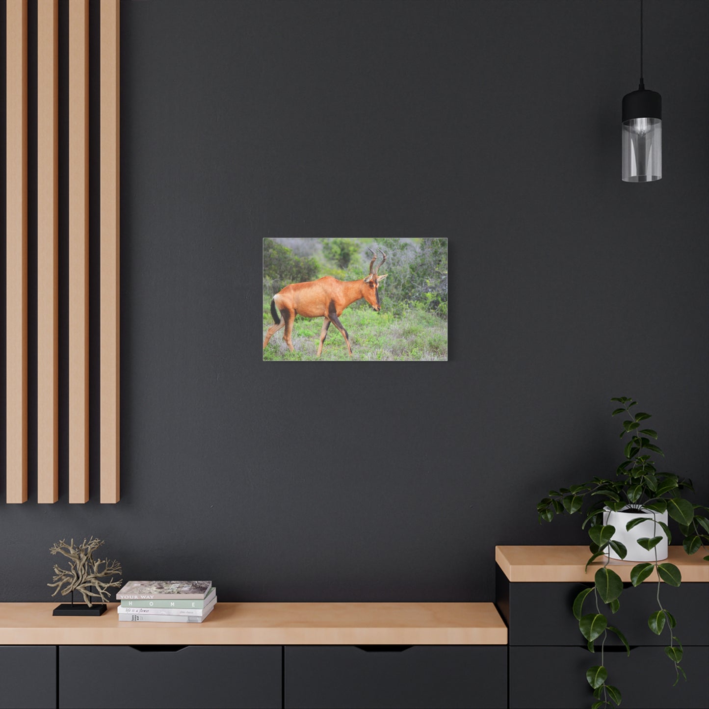 Red Hartebeest - Canvas Print