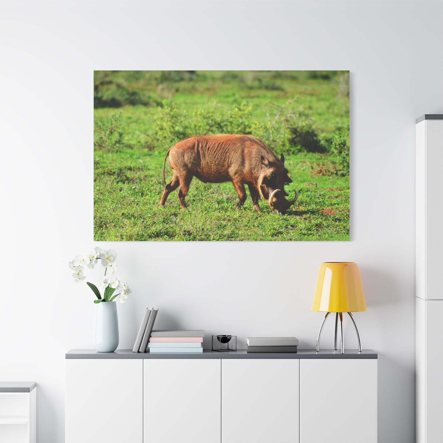 African Warthog - Canvas Print