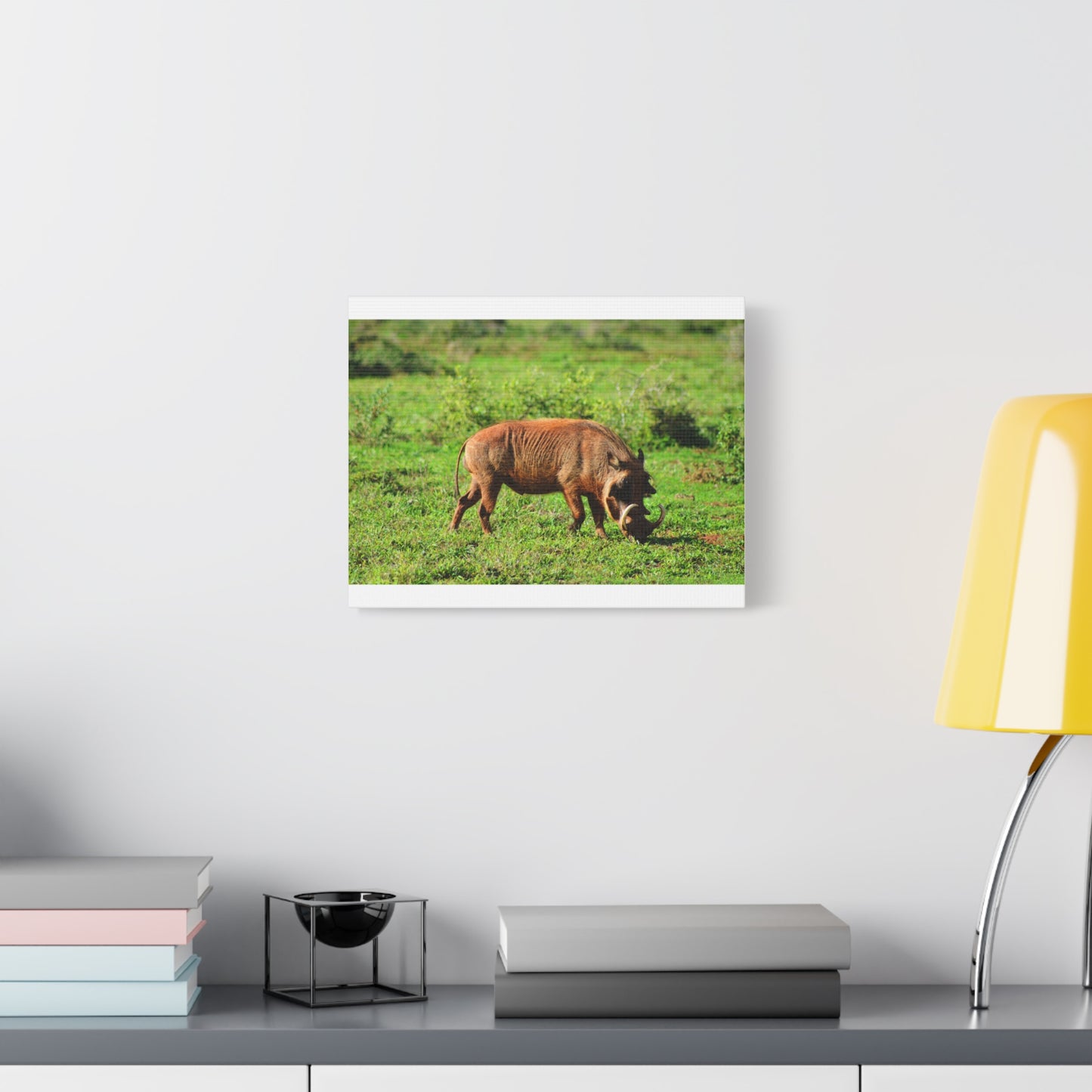 African Warthog - Canvas Print
