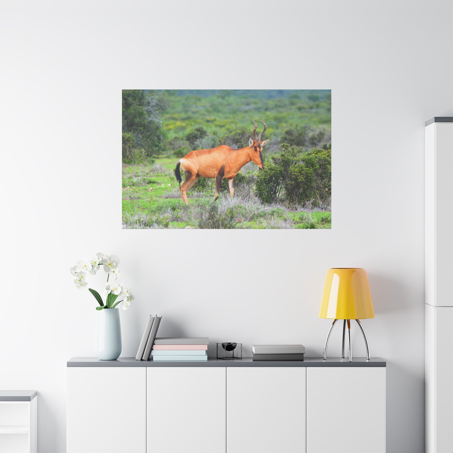 Africa Red Hartebeest - Canvas Print