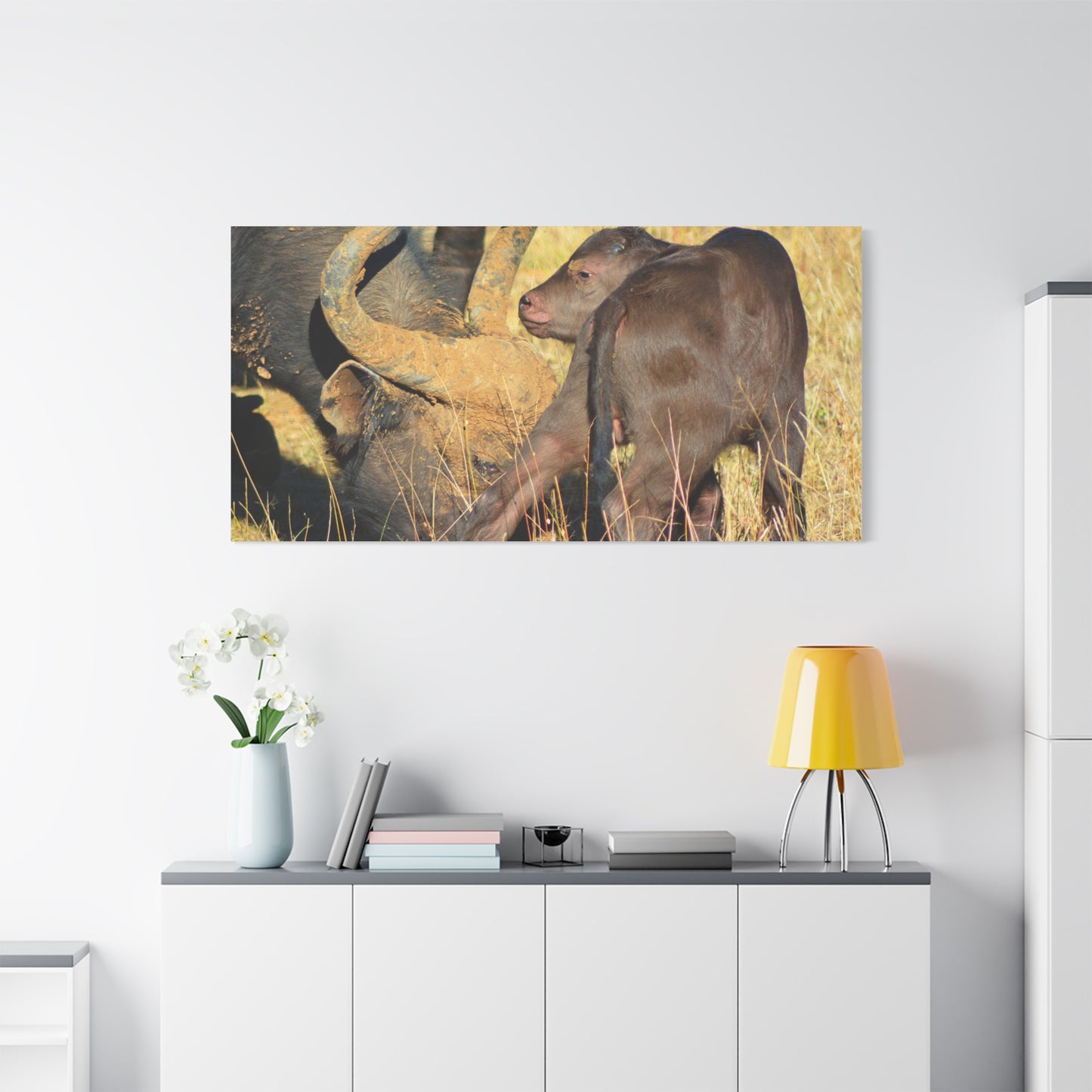 Cape Buffalo Tends to Calf
