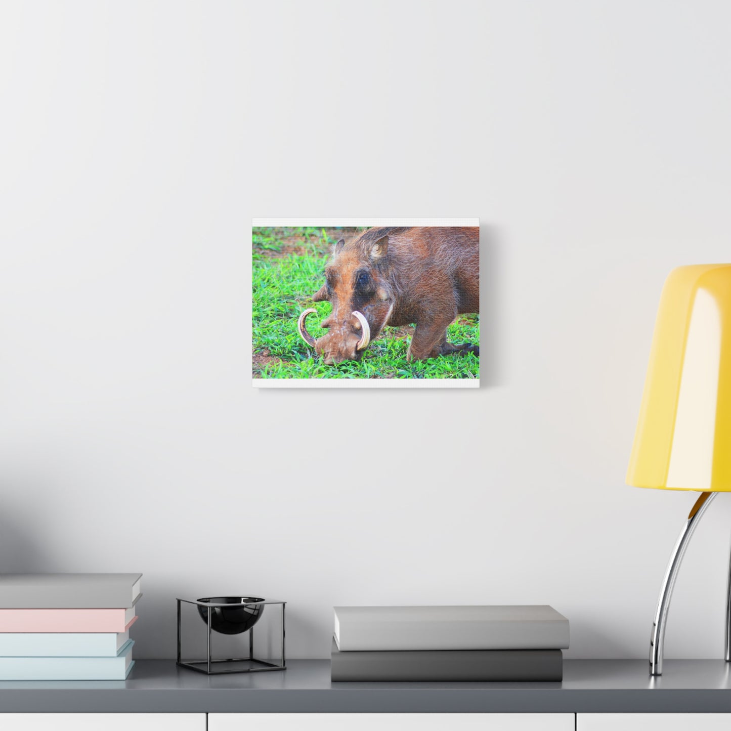 African Warthog Eating - Canvas Print