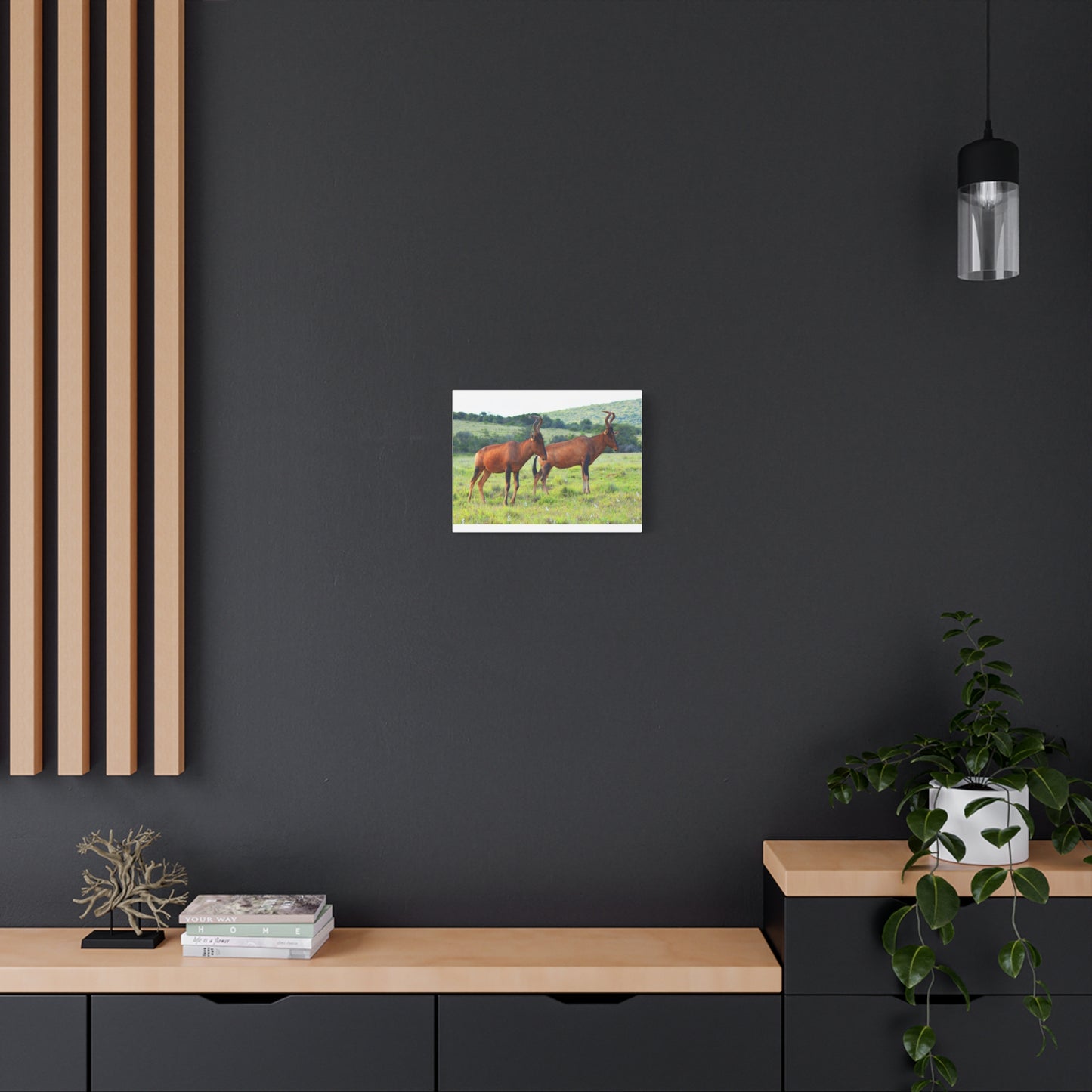 African Red Hartebeest - Canvas Print