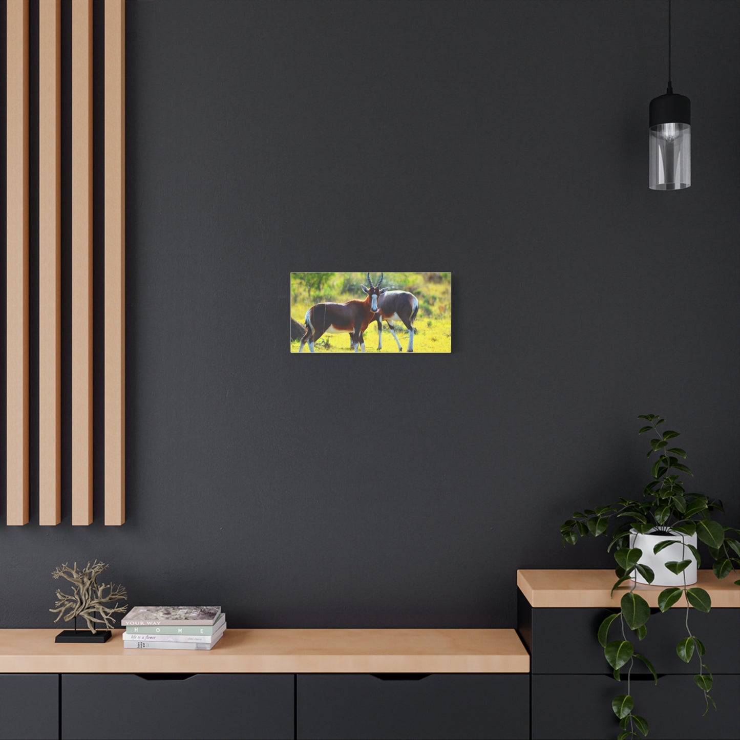 Blesbok in Africa - Canvas Print