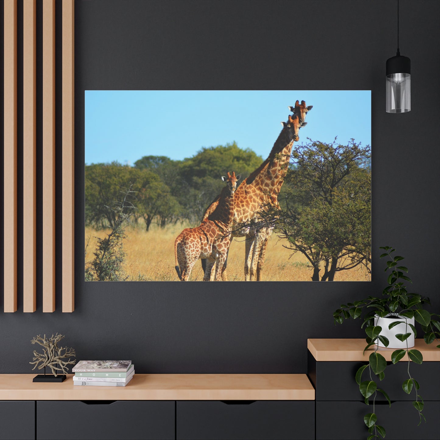 Giraffe Family in Africa