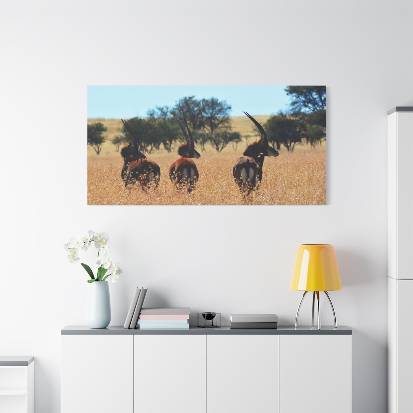 Sable Trio in Africa Canvas Print