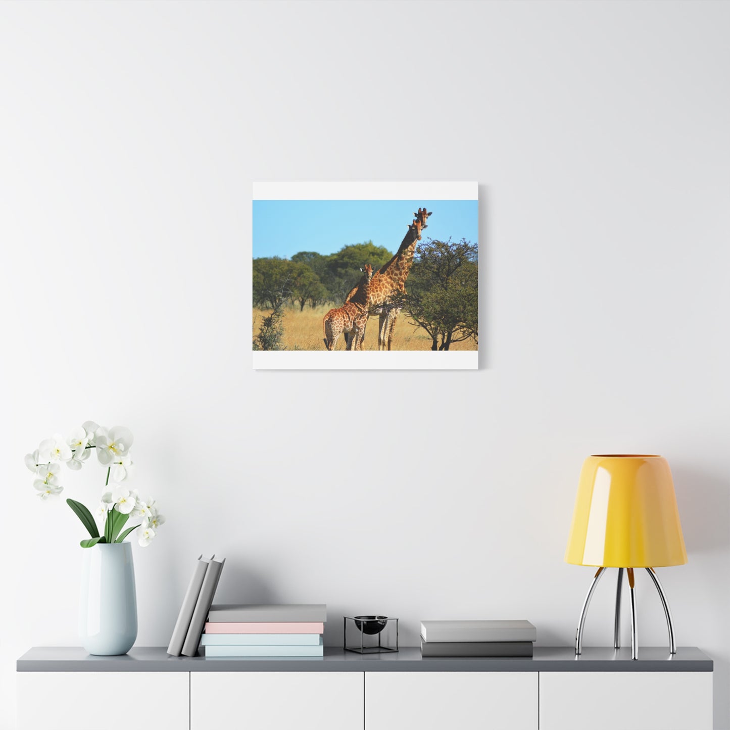 Giraffe Family in Africa