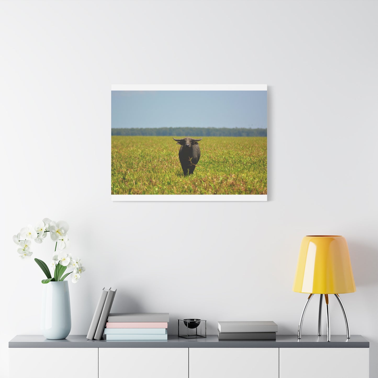 Asiatic Water Buffalo Australian Outback - Canvas Print