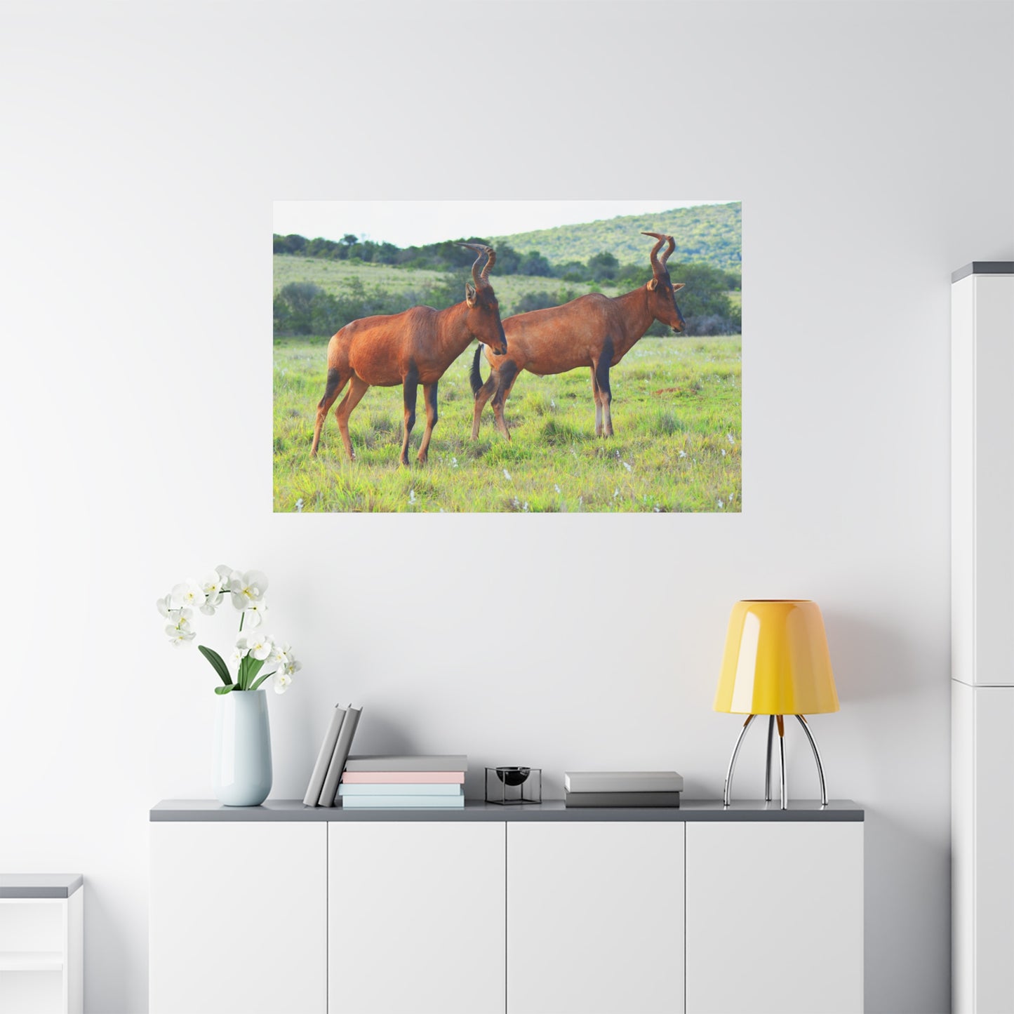 African Red Hartebeest - Canvas Print
