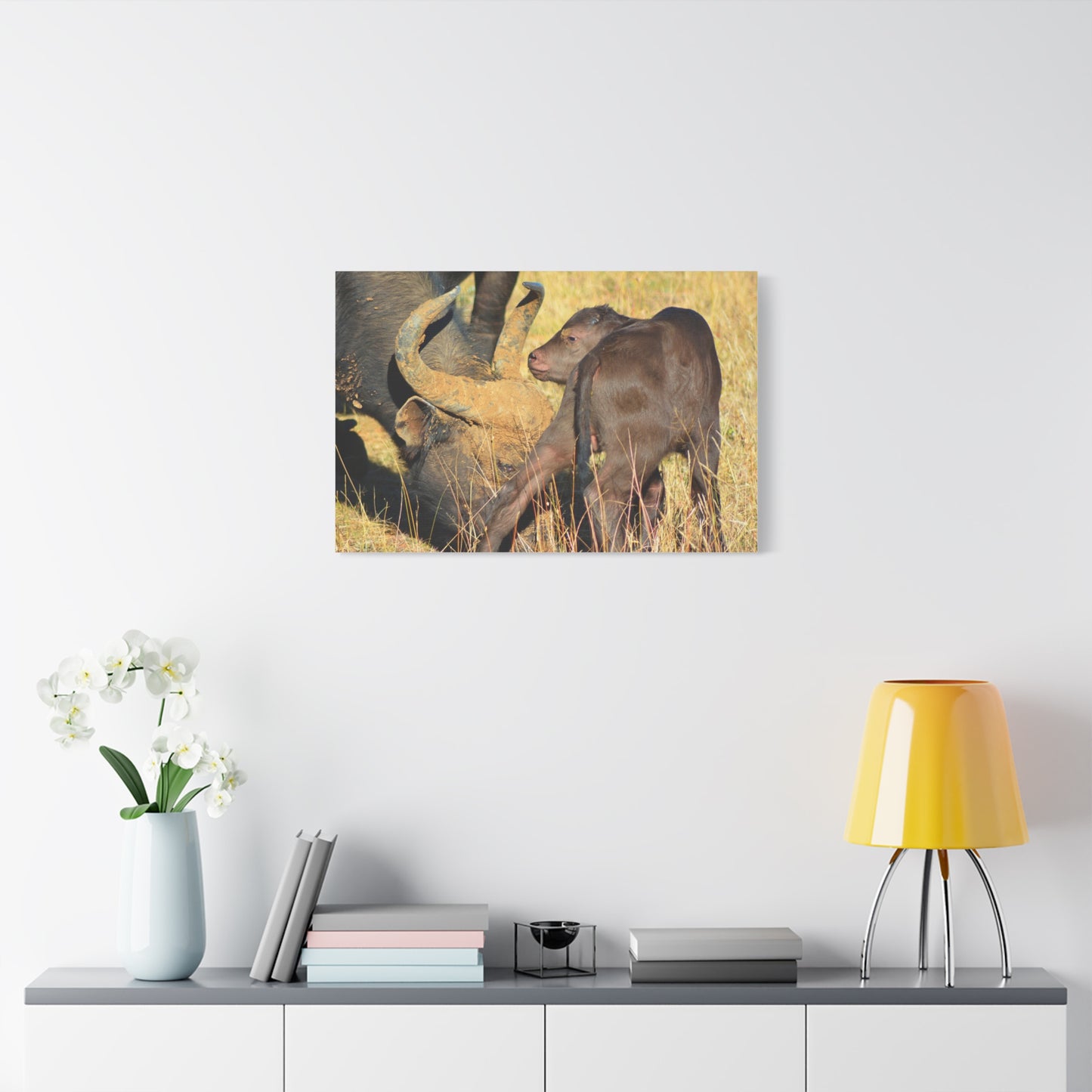 Cape Buffalo Tends to Calf