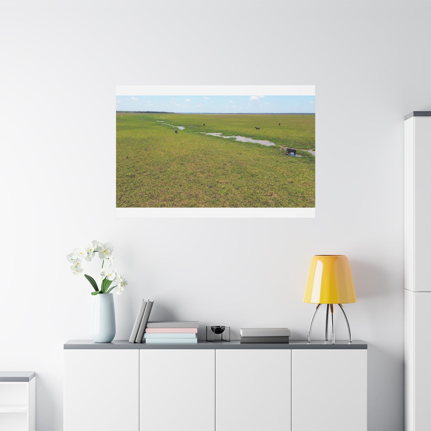 Asiatic Water Buffalo Australian Outback - Canvas Print