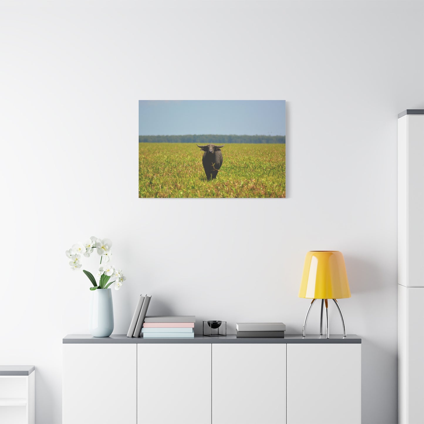 Asiatic Water Buffalo Australian Outback - Canvas Print