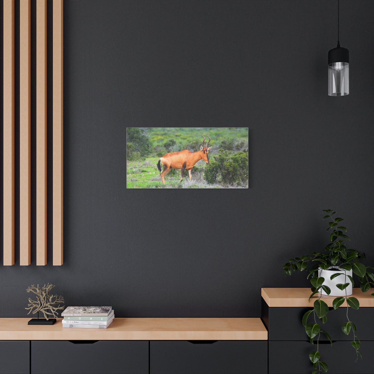 Africa Red Hartebeest - Canvas Print
