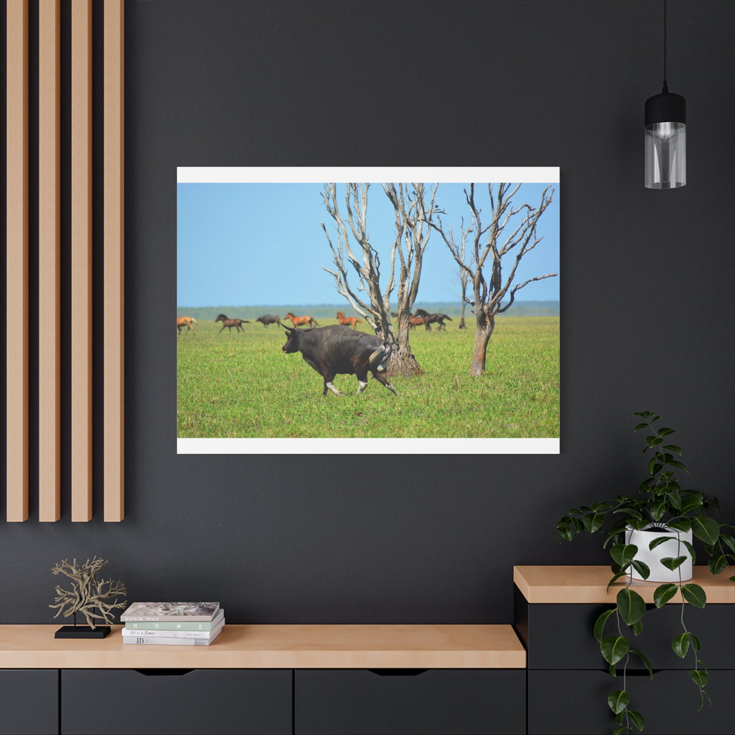Australia Banteng - Canvas Print