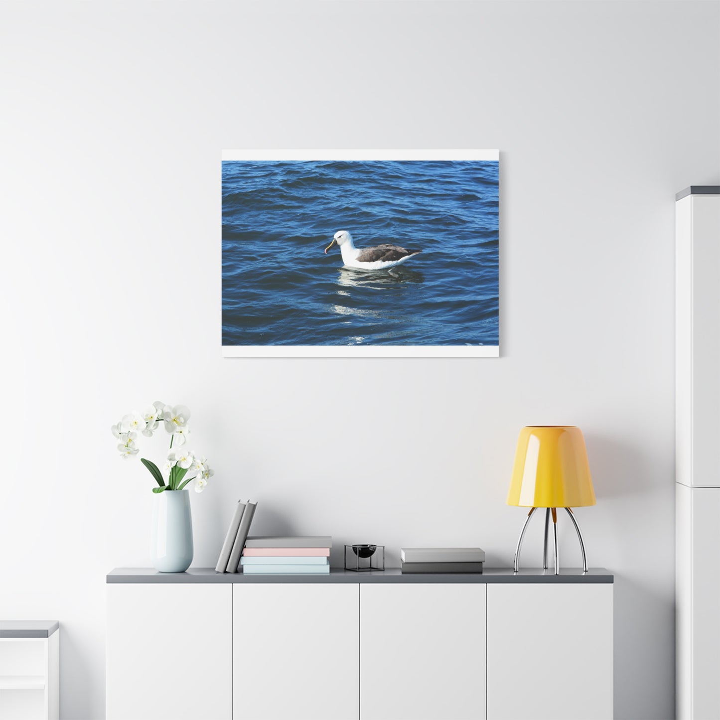 Albatross Canvas Print Sea Bird