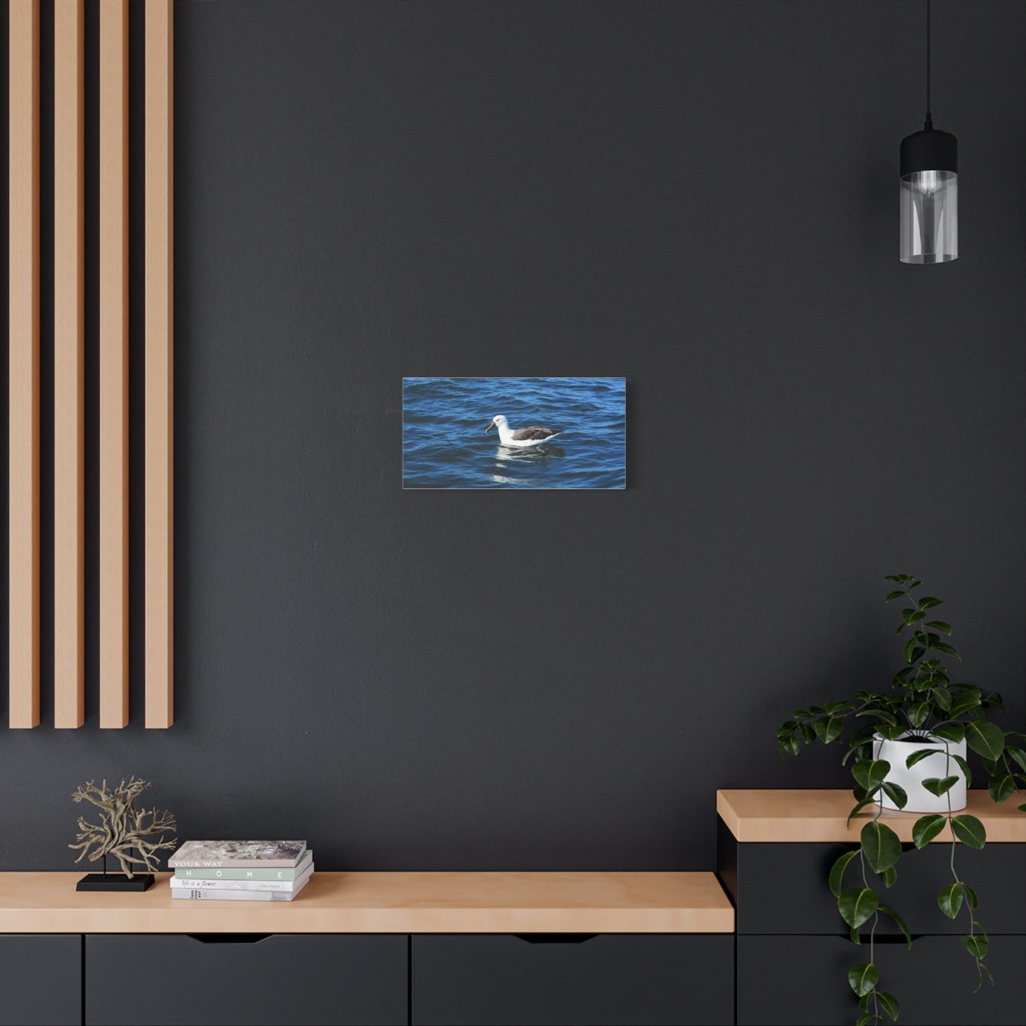 Albatross Canvas Print Sea Bird