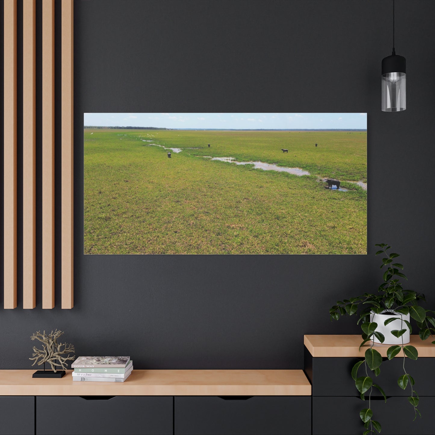 Asiatic Water Buffalo Australian Outback - Canvas Print