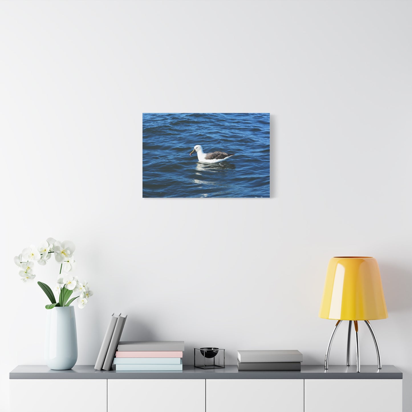 Albatross Canvas Print Sea Bird