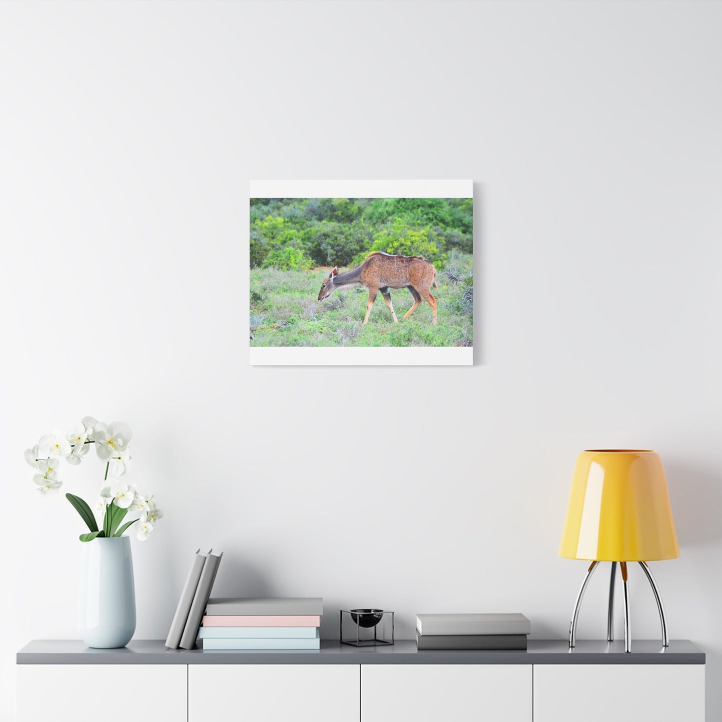 Africa Kudu Cow - Canvas Print