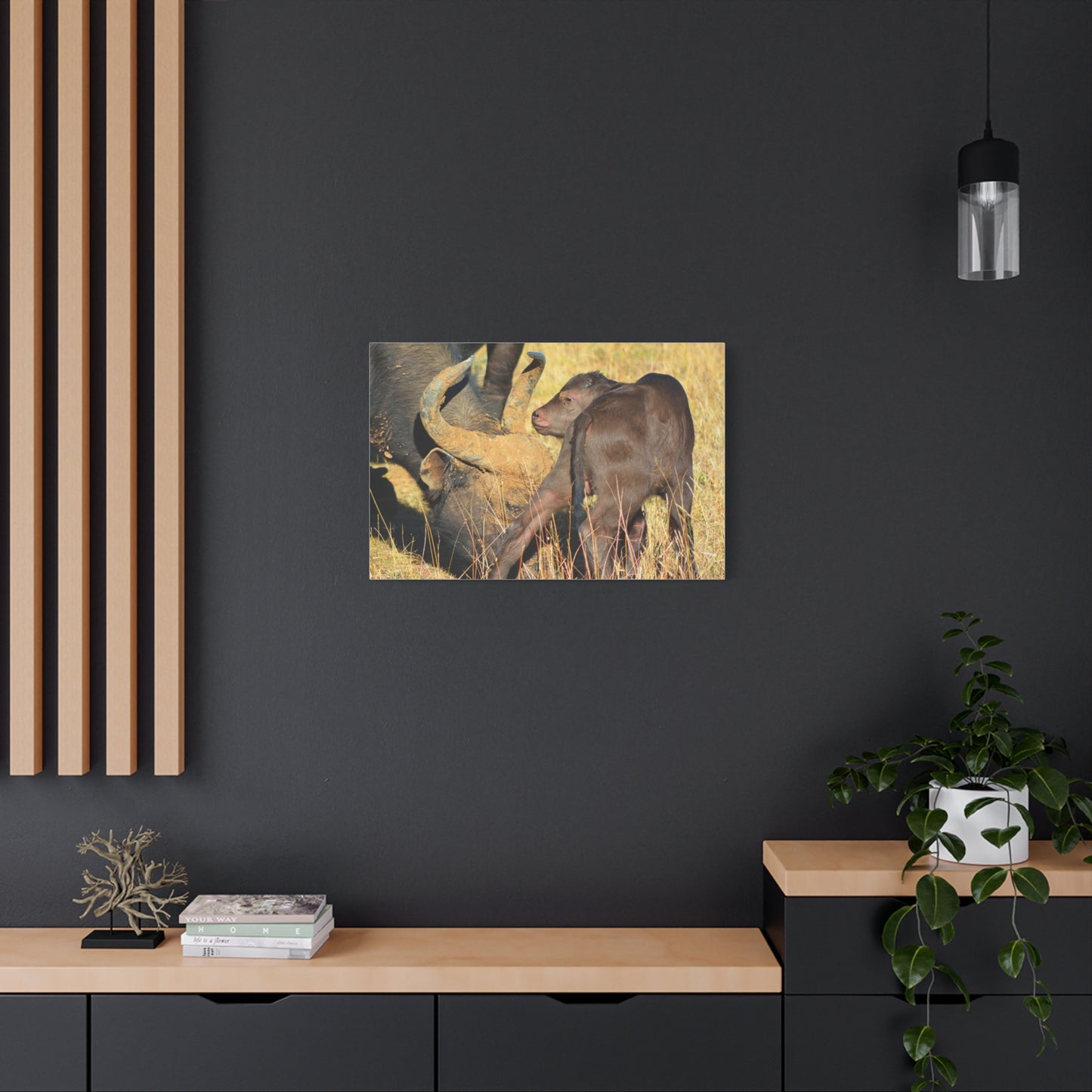 Cape Buffalo Tends to Calf