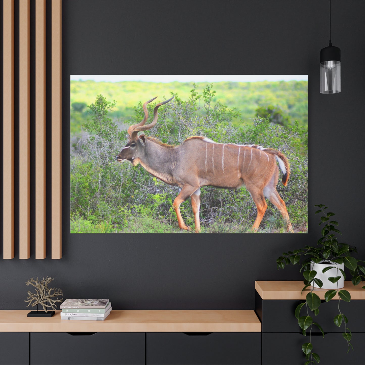 Africa Kudu Bull - Canvas Print