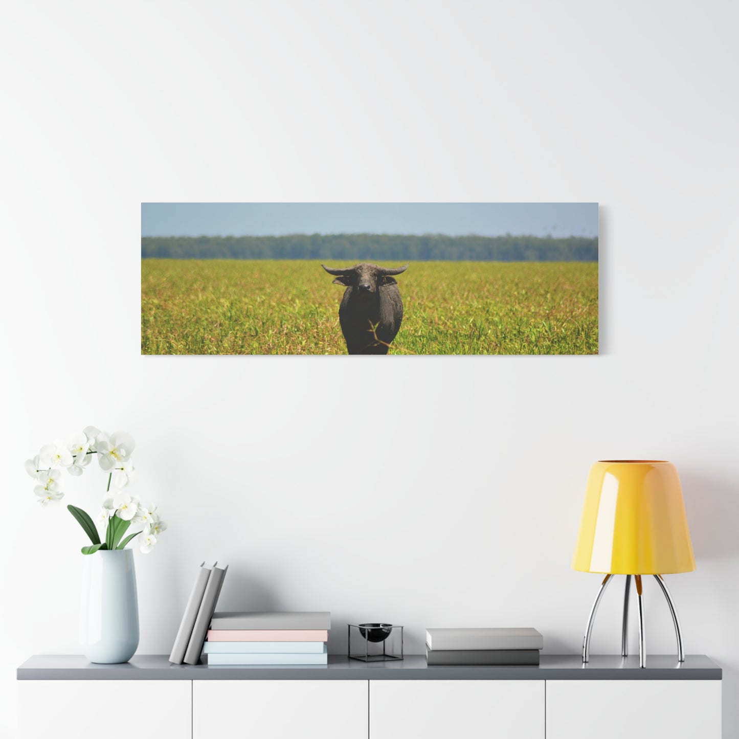 Asiatic Water Buffalo Australian Outback - Canvas Print