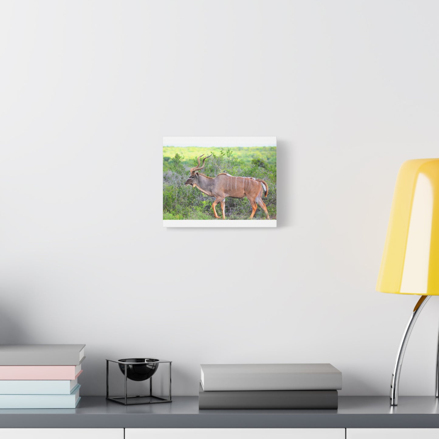 Africa Kudu Bull - Canvas Print