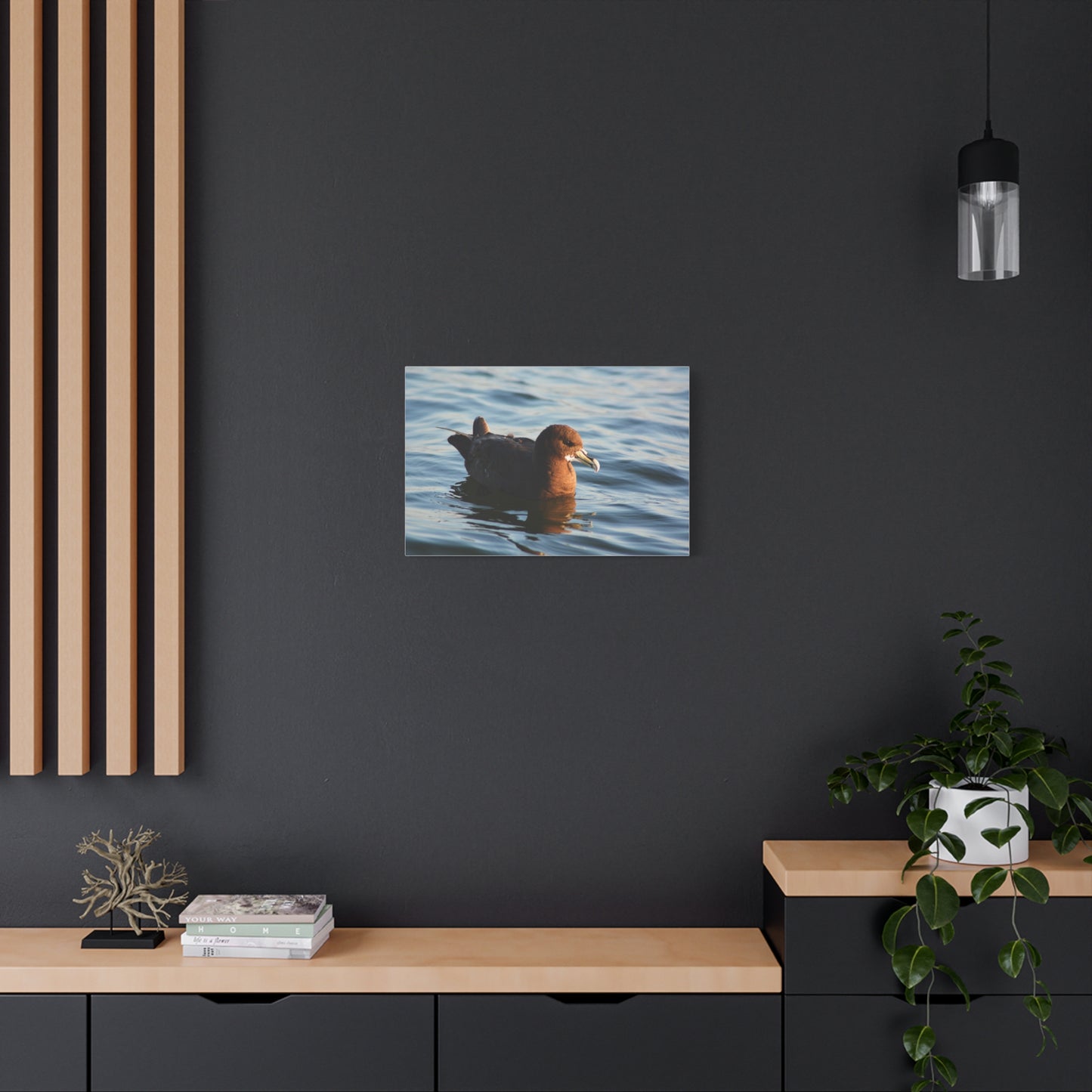 Bird Art Wall Decor, Coastal Wall Art, Ocean Decor, Nature Photography, Sea Bird Print