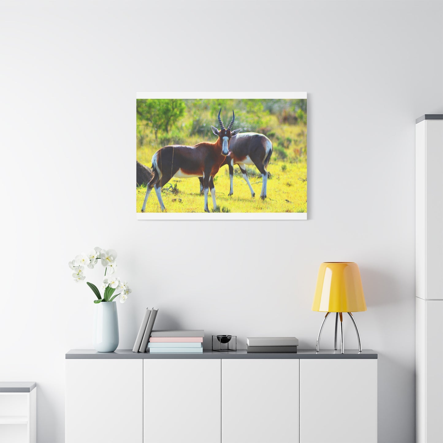 Blesbok in Africa - Canvas Print