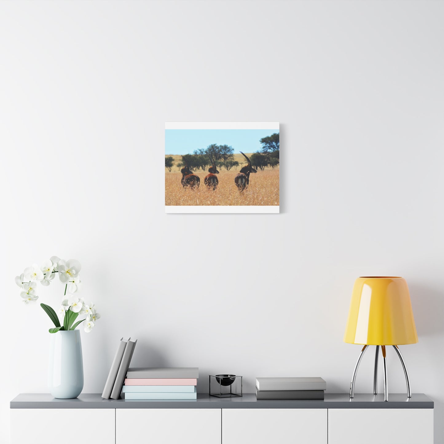 Sable Trio in Africa Canvas Print