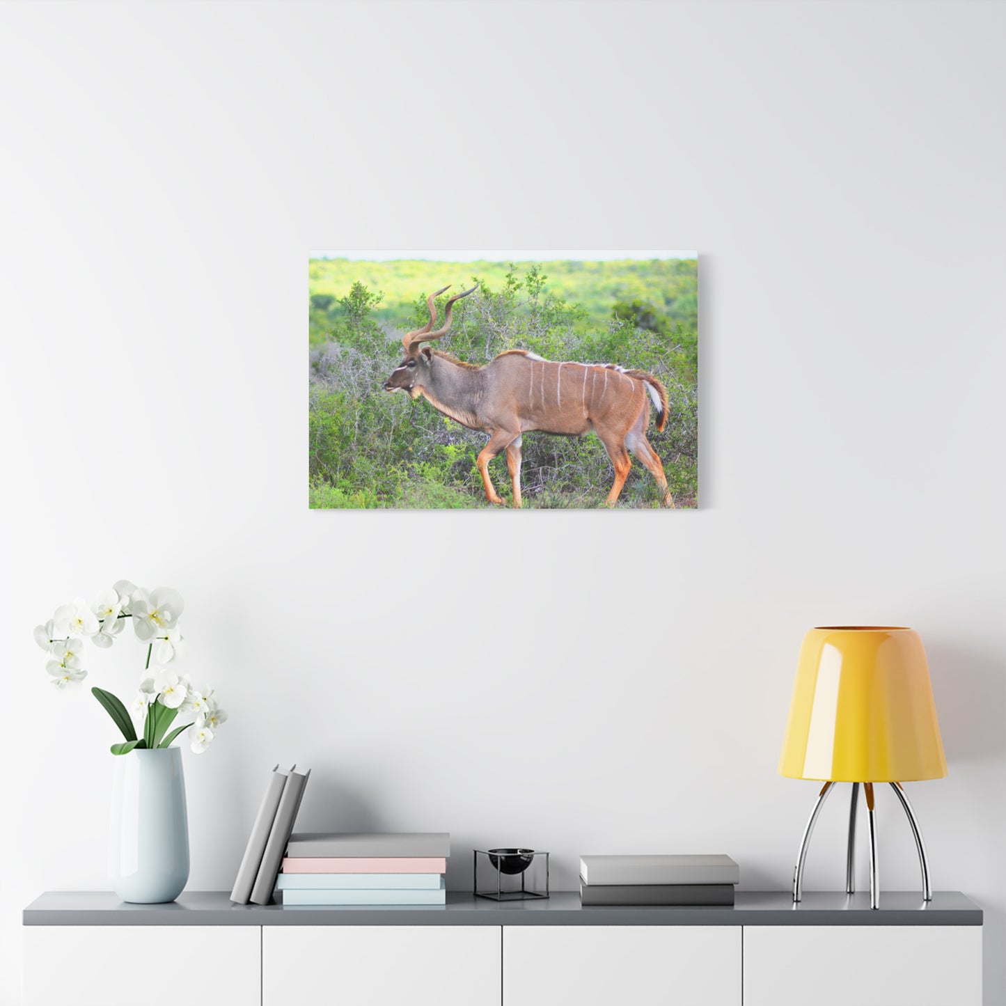 Africa Kudu Bull - Canvas Print