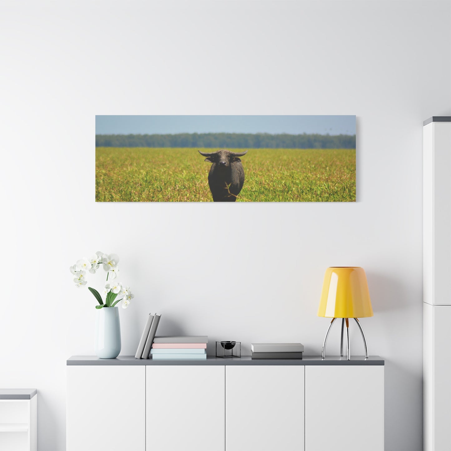 Asiatic Water Buffalo Australian Outback - Canvas Print