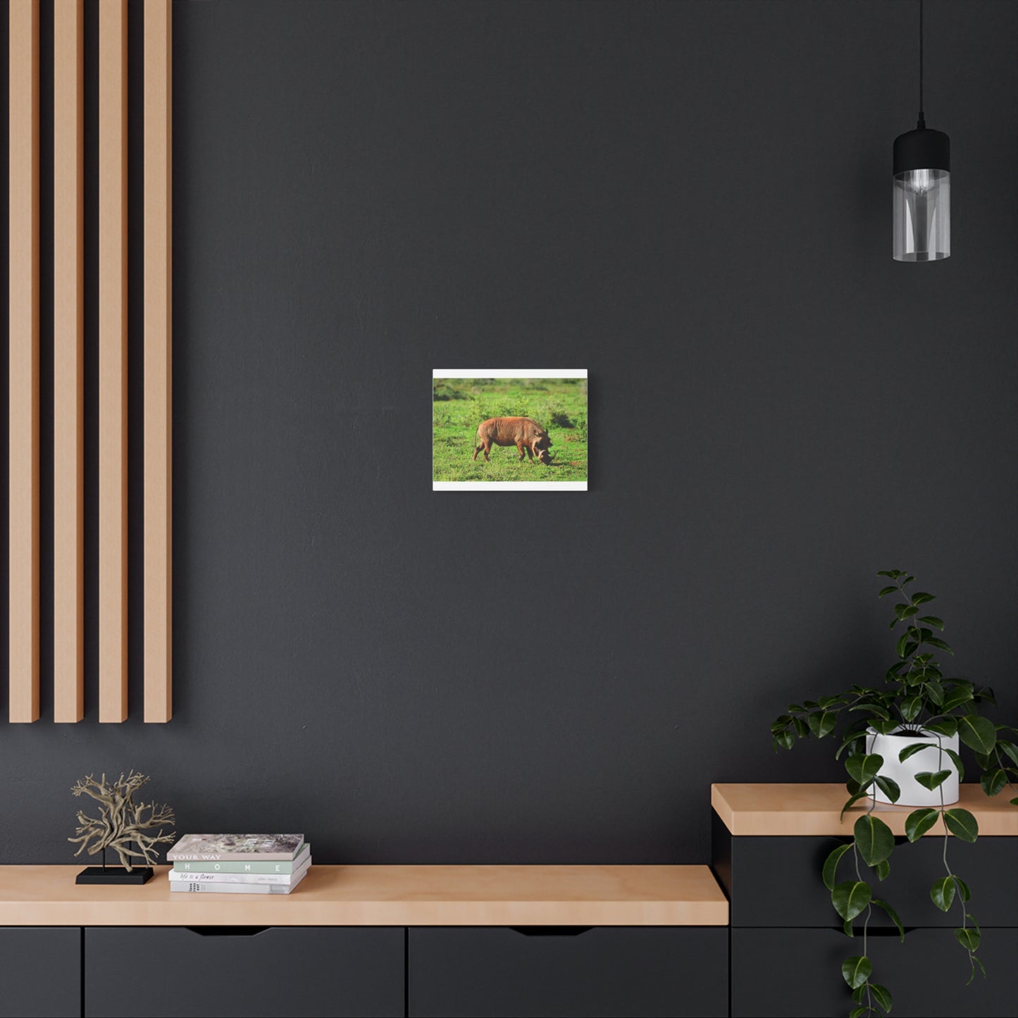 African Warthog - Canvas Print