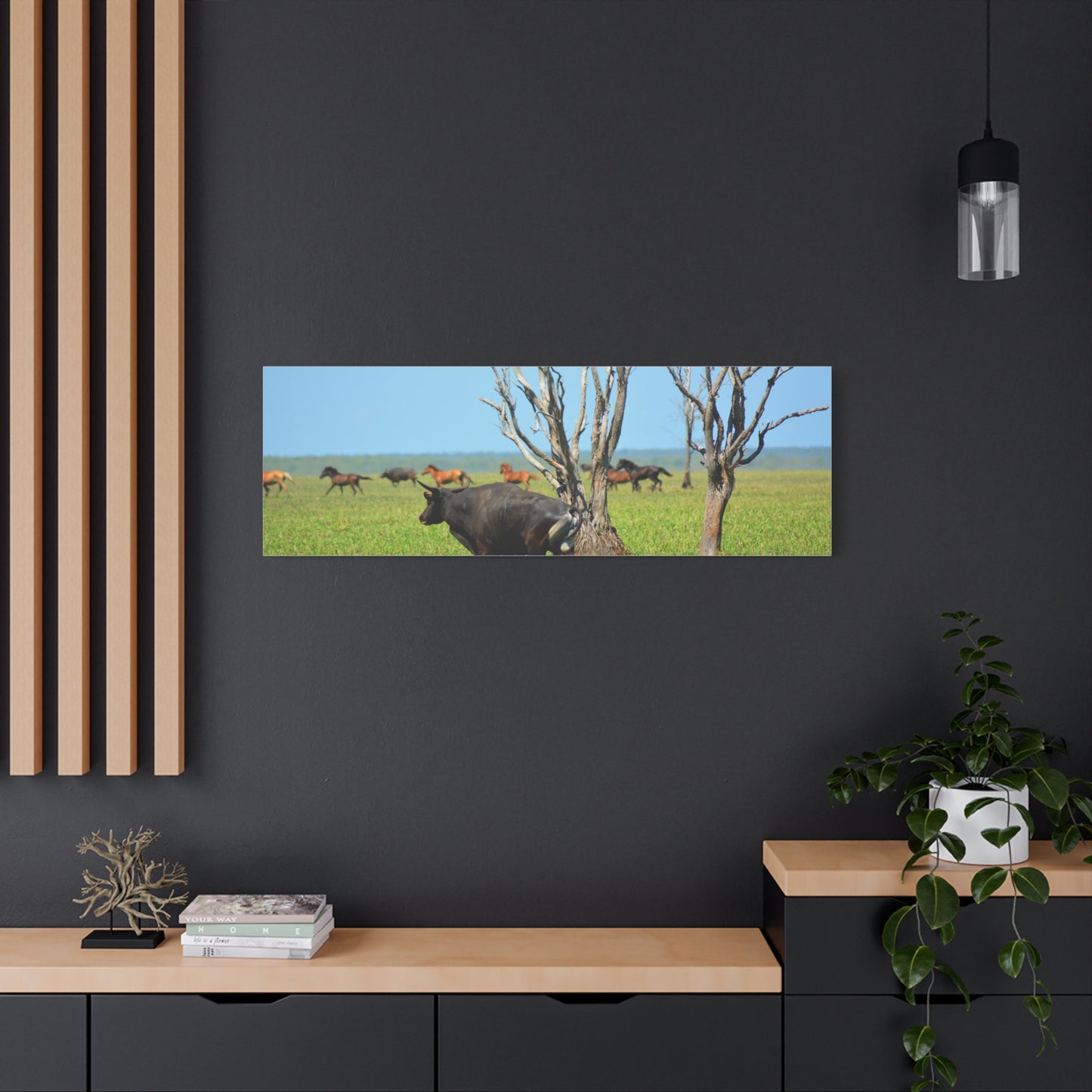 Australia Banteng - Canvas Print