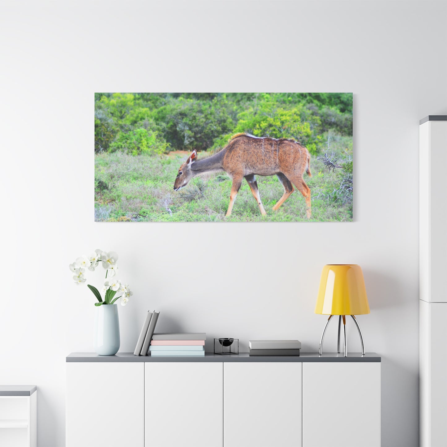 Africa Kudu Cow - Canvas Print
