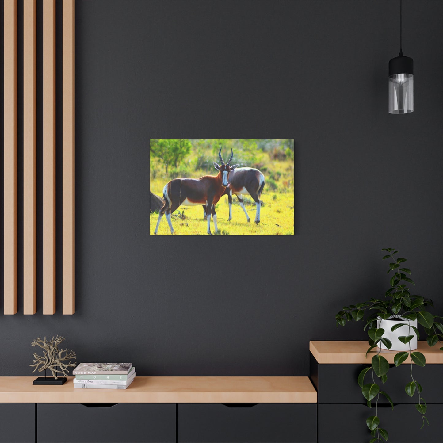 Blesbok in Africa - Canvas Print