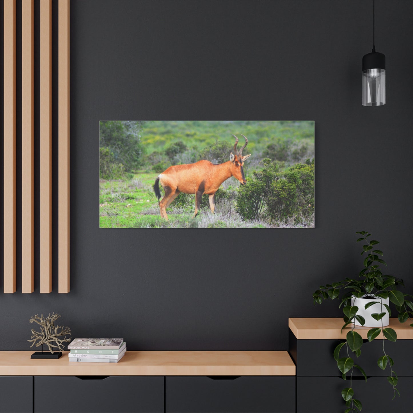 Africa Red Hartebeest - Canvas Print