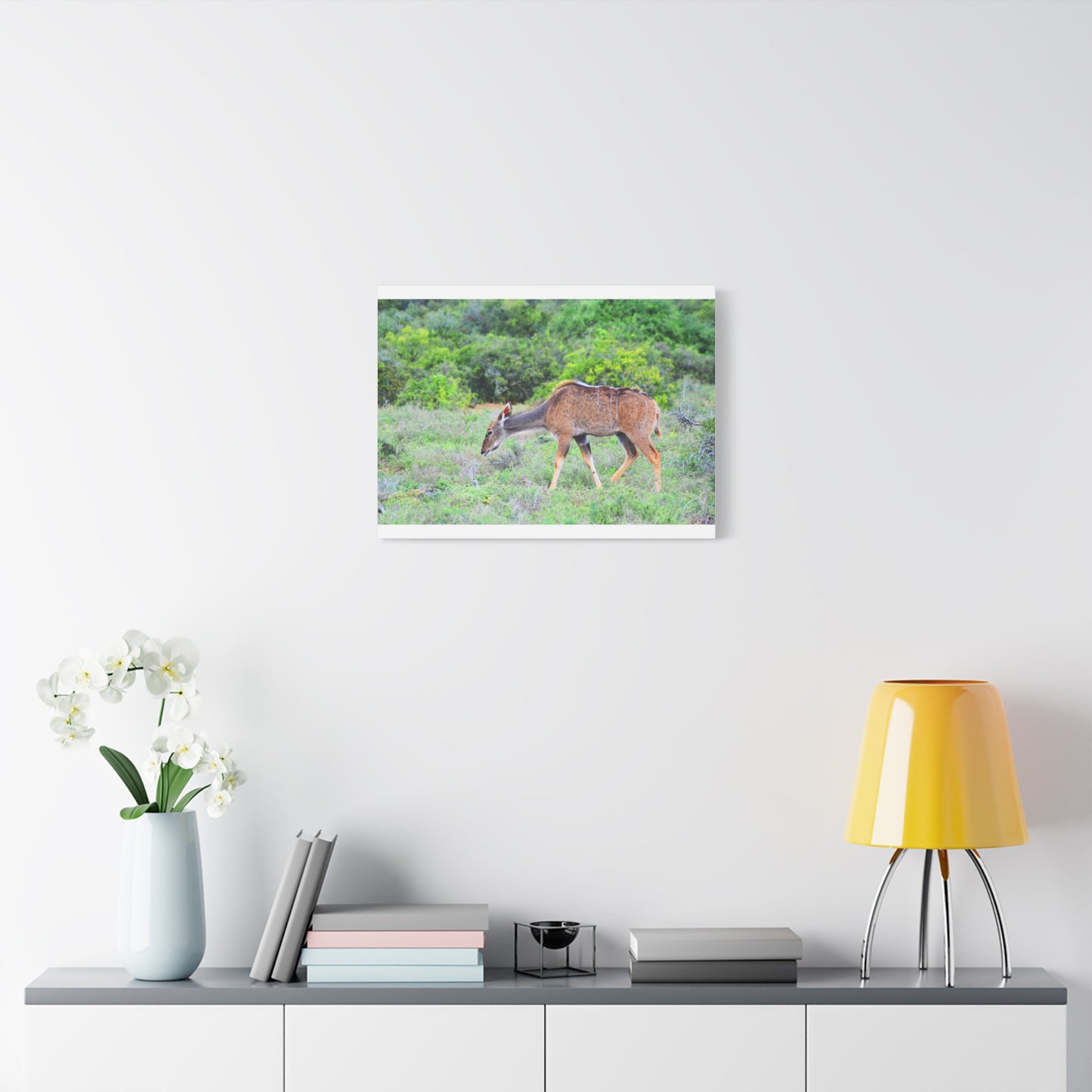 Africa Kudu Cow - Canvas Print