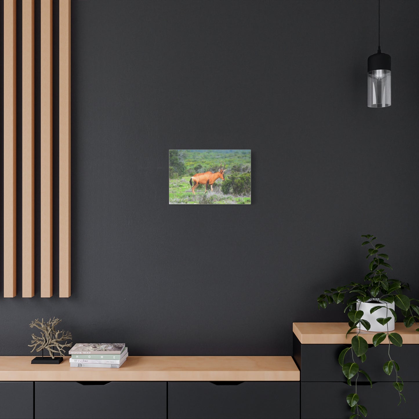 Africa Red Hartebeest - Canvas Print