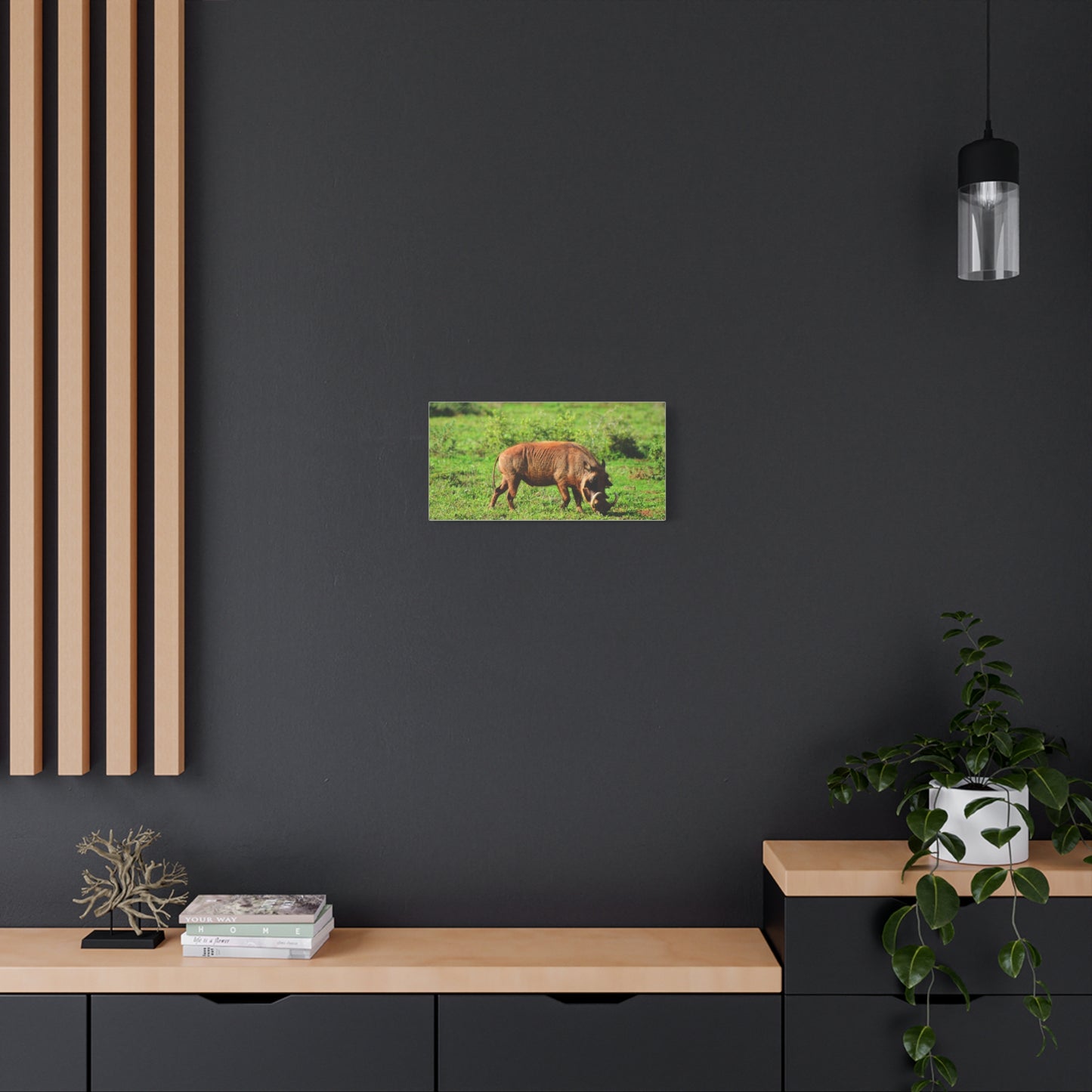 African Warthog - Canvas Print