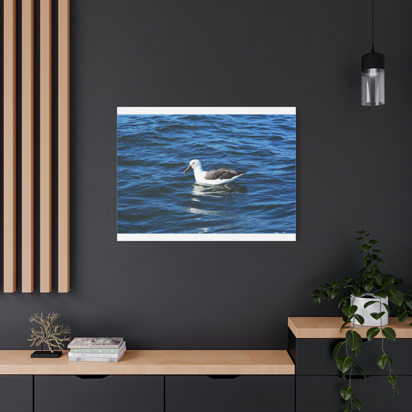 Albatross Canvas Print Sea Bird