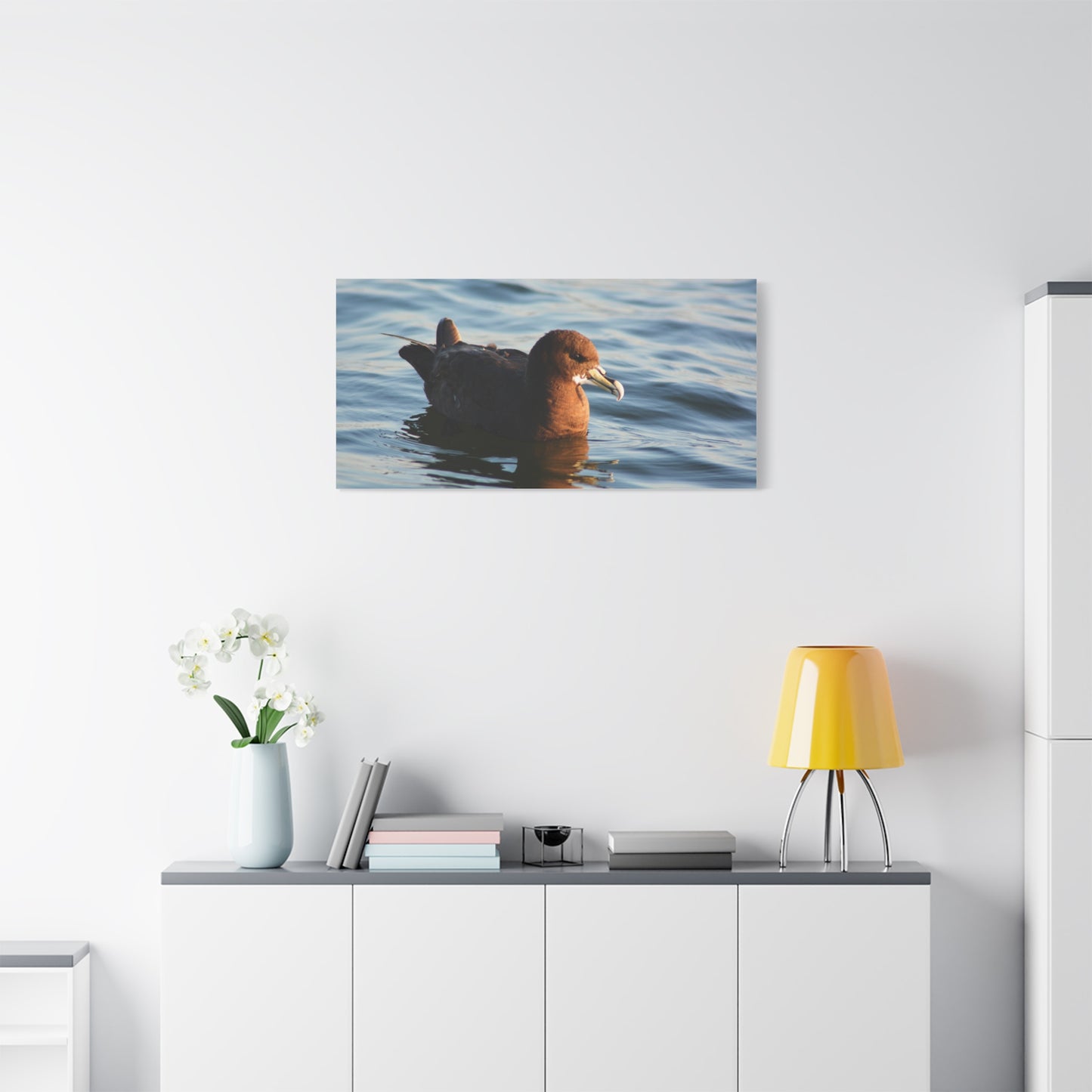 Bird Art Wall Decor, Coastal Wall Art, Ocean Decor, Nature Photography, Sea Bird Print