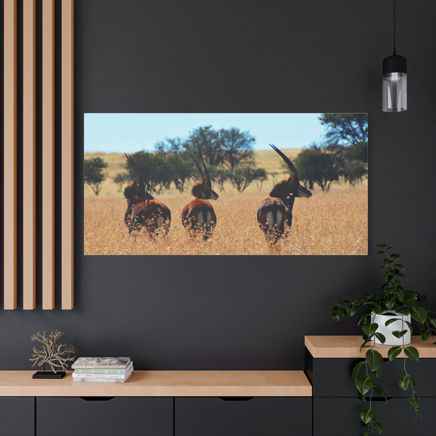 Sable Trio in Africa Canvas Print