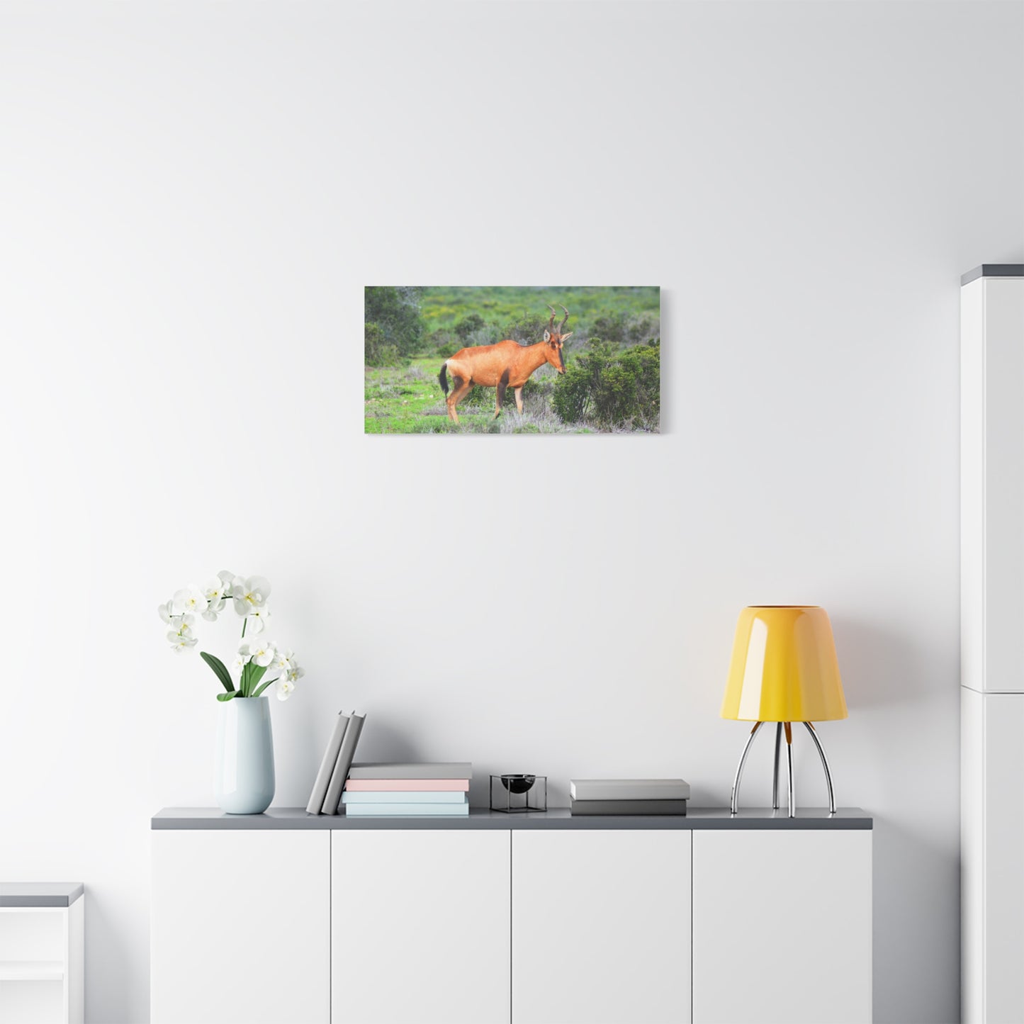 Africa Red Hartebeest - Canvas Print