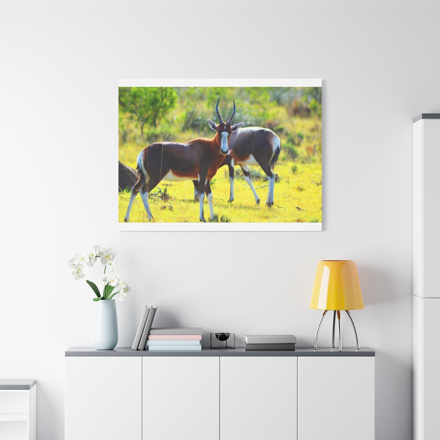 Blesbok in Africa - Canvas Print