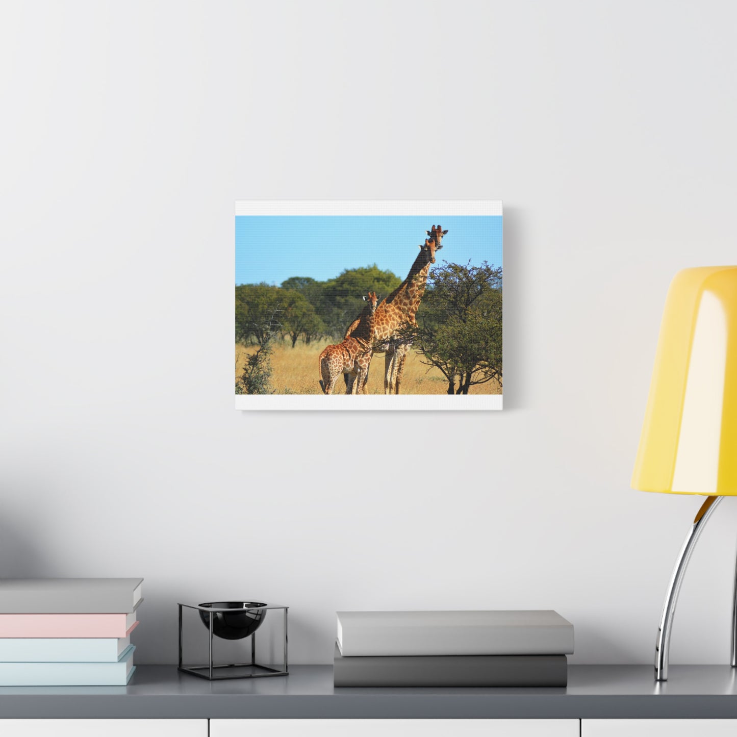 Giraffe Family in Africa