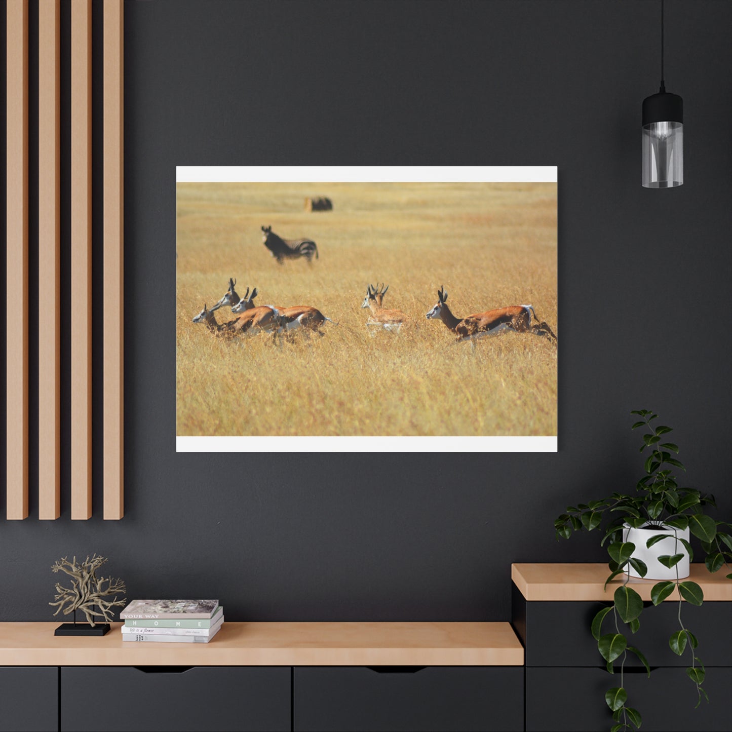 Springbok Herd in African Savannah