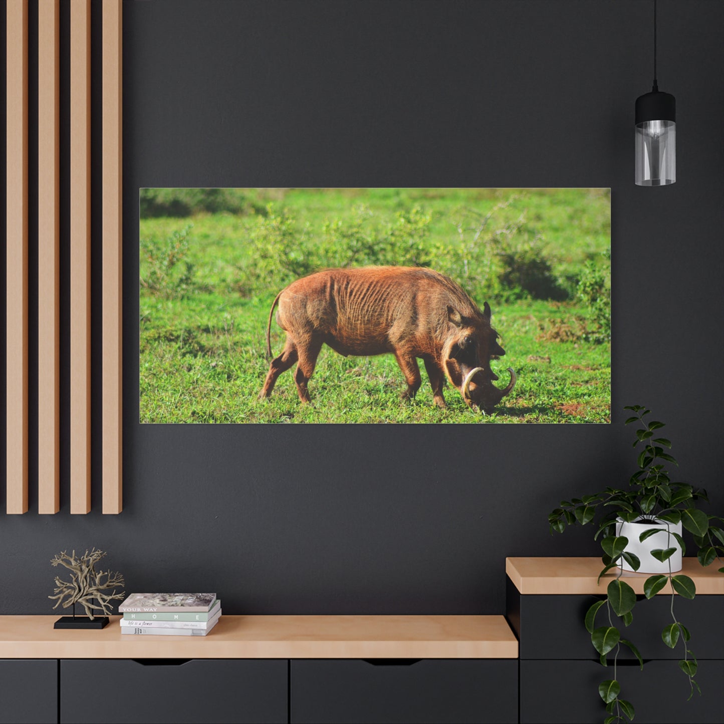 African Warthog - Canvas Print