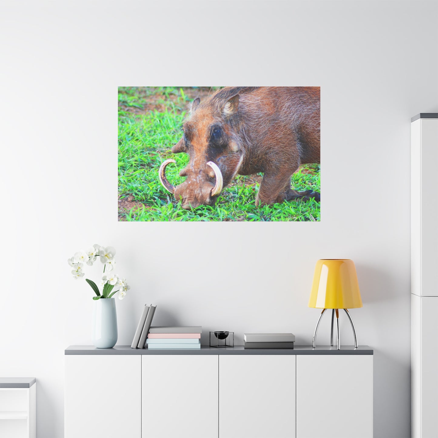 African Warthog Eating - Canvas Print