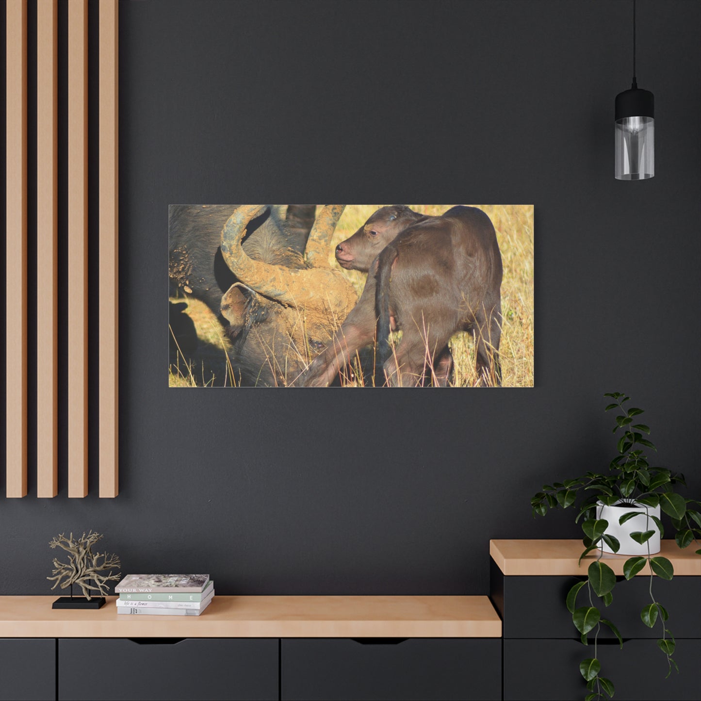 Cape Buffalo Tends to Calf